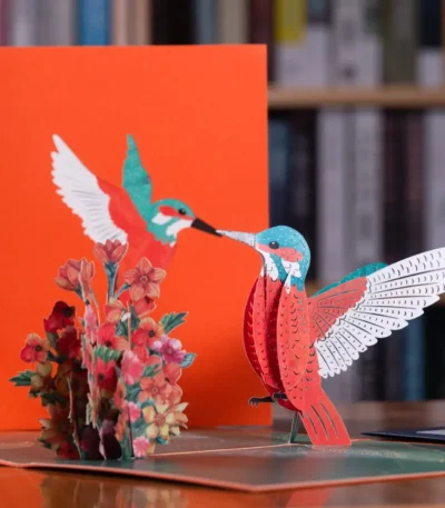 Pop up Hummingbird 3D Card for Greetings, Birthday, Get Well Soon, Mothers Day, Anniversary at Giftway Kenya