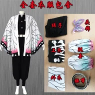 Japanese Anime Demon Slayer Cosplay Costumes | Style 3